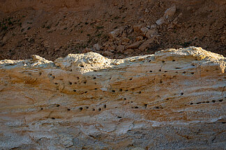 image-122